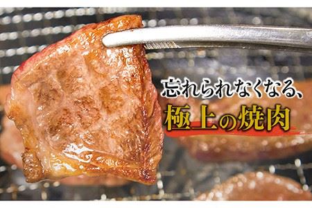 佐賀牛希少部位 おまかせ9種堪能セット1800g 合計1.8kg （9種×200g）吉野ヶ里町/ミートフーズ華松 ブランド牛 熟成 高級 和牛霜降り 艶さし BMS7以上 焼肉 セット [FAY042