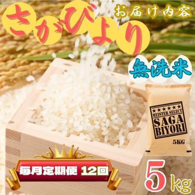 ふるさと納税 伊万里市 【毎月定期便】【無洗米】さがびより 5kg 《マイスターセレクト》(伊万里市)全12回 |  | 03