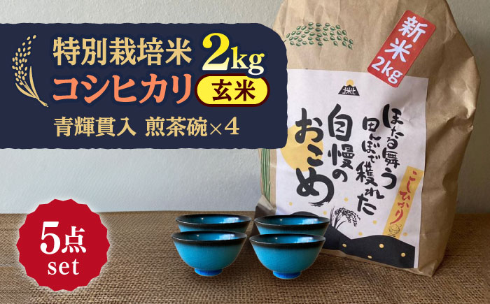 
            【令和7年産】 玄米 コシヒカリ 特別栽培米 （2kg）+ 【美濃焼】 青輝貫入 煎茶碗 （4個） 多治見市 / 山松加藤松治郎商店 [TEU062]
          