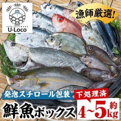ふるさと納税 肝付町 漁師厳選!ロコフィッシュ(地魚) 鮮魚 ボックス(約4〜5kg)【発泡スチロール包装】　B78001
