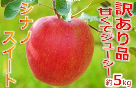 【010-16】シナノスイート　訳あり　約5キロ！　信濃三兄弟の一つ（りんご・リンゴ・林檎）