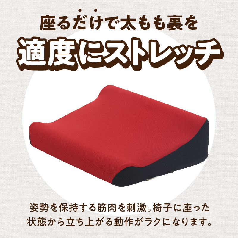 ろっかん式ストレッチクッション ［023M17］ ろっかん式 ストレッチ クッション 選べる カラー 立ち上がり サポート 清水ろっかん先生 エルゴノミクスデザイン ハムストリングス 太もも裏_イメー