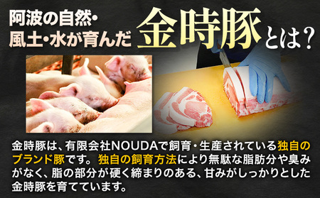 ＜阿波の金時豚＞ ミンチ 1.8kg  豚肉