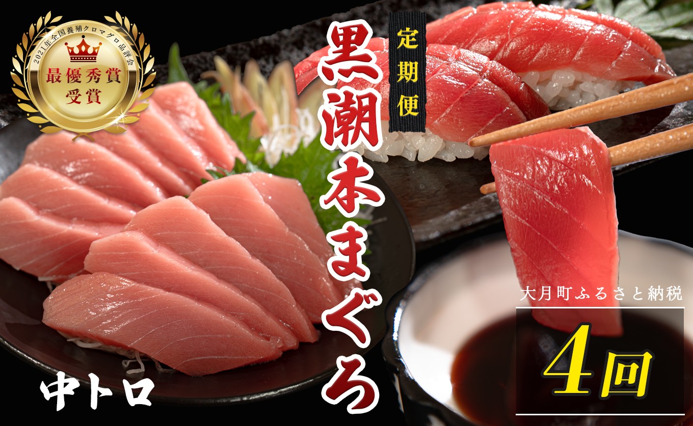 
                  訳あり 不定貫 定期便4回 日本一!黒潮本まぐろ 中トロ
                