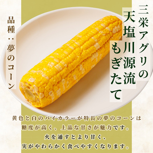 ＜先行予約受付中＞朝採りレトルトスイートコーン 夢のコーン (5パック) 【2026年11月以降発送予定】夢のコーン 北海道産 北海道 士別市 とうもろこし トウモロコシ とうきび 【三栄アグリ】【A