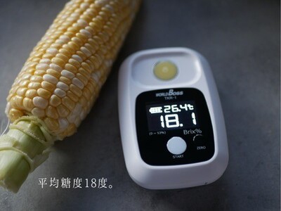 【2026年分先行受付】南信州産 完熟生とうもろこし 約8kg | 長野県 飯田市
