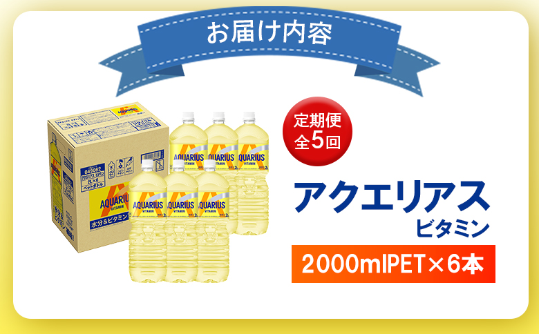 【定期便：全5回】アクエリアス 1日分のマルチビタミン　2LPET×6本【380089】_イメージ4