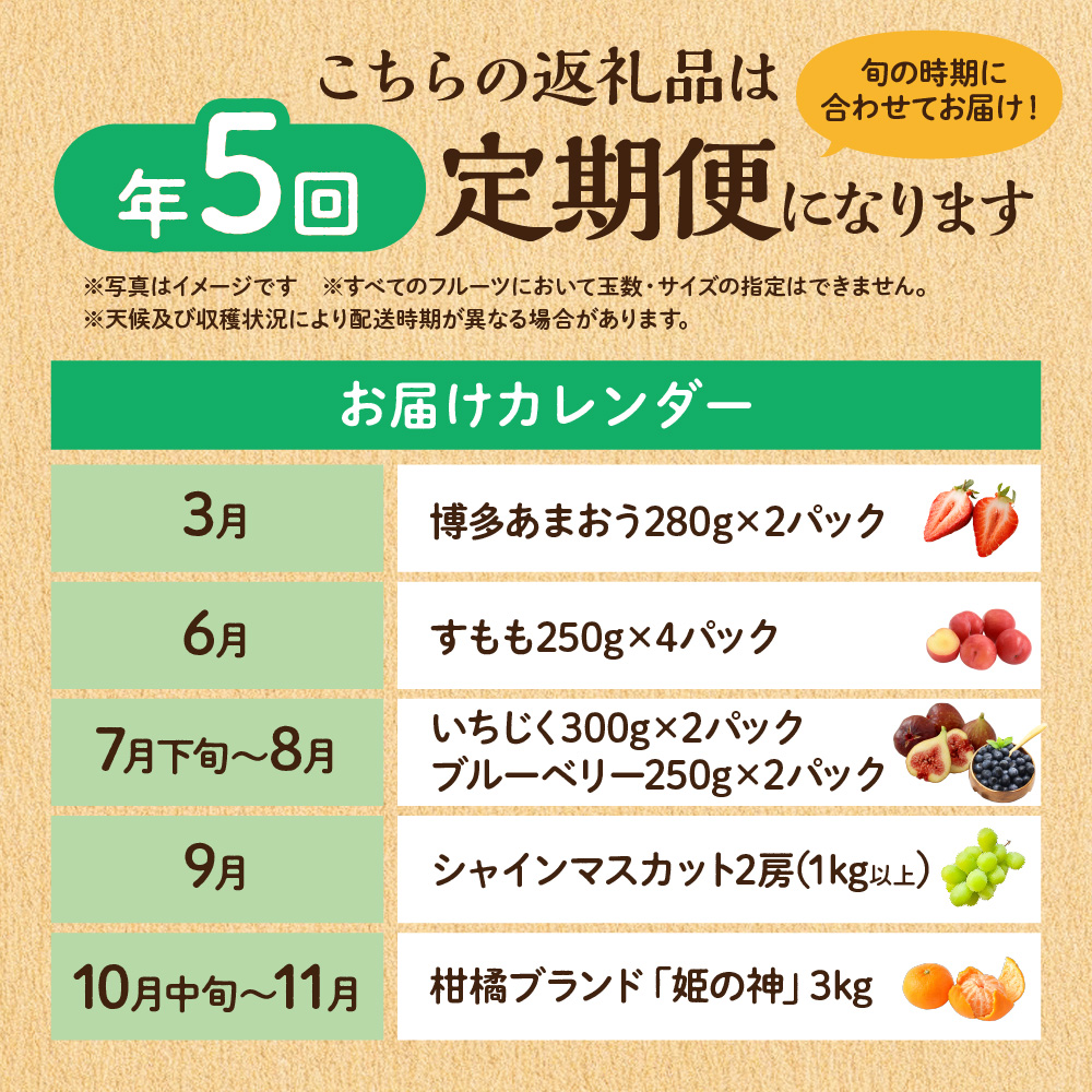 【定期便/年5回】JAむなかた厳選！人気フルーツ定期便【JAむなかた ほたるの里】_HB0164