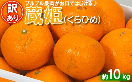 【訳あり・優品】今村農園の蔵姫くらひめ（紅甘夏） 約10kg＜107-030_5＞