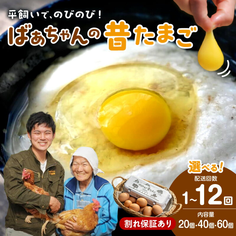 放し飼いで のびのび養鶏！ばあちゃんの昔たまご（計40個）