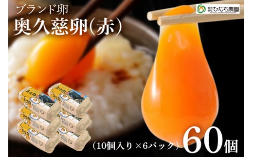 三ツ星レストランや一流料理人が愛するブランド卵『奥久慈卵』 赤 60個 たまご タマゴ ミネラル 茨城県 ho1315