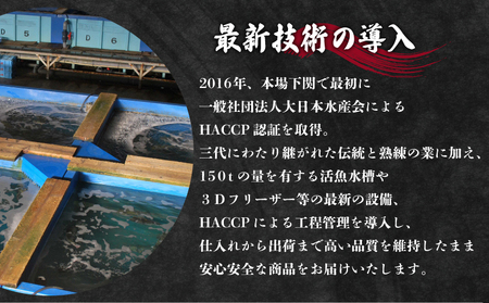 【2027年3月以降順次発送】 ふぐ刺し鍋 セット 3-4人前 冷凍 ふぐ ID
