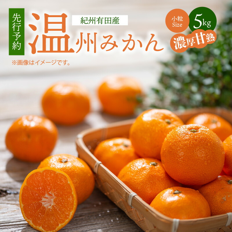 【2026年11月下旬より発送】紀州 有田産 濃厚甘熟 温州みかん 5kg (小粒サイズ)_G7344