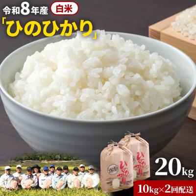 ふるさと納税 笠岡市 【令和8年産 先行受付】白米  ひのひかり 笠岡産 20kg 太陽の恵み O-07_20k_白米