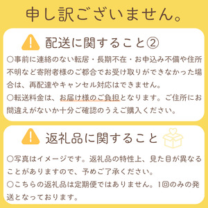 【2026年産先行予約】＜家庭用＞果汁たっぷりの極上梨「豊水・3kg」6～9玉 千葉県 船橋市産