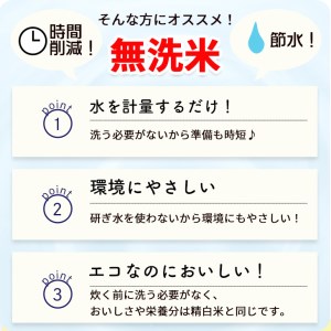 無洗米 10kg （5kg×2袋） 京都丹波産 ヒノヒカリ ※受注精米《米 白米 ひのひかり ふるさと納税 無洗米 亀岡そだち》 ※北海道・沖縄・離島への配送不可
