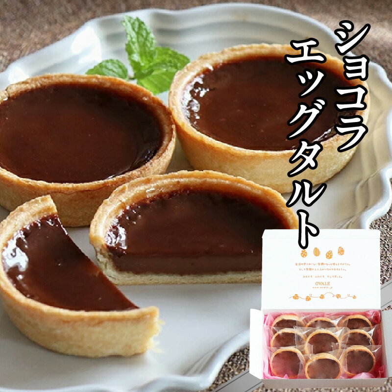 【ふるさと納税】ショコラエッグタルト 9個入 [0467]