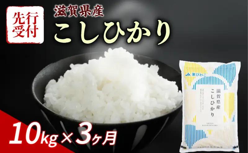 【令和8年産】 先行予約 新米 こしひかり 10kg (5kg×2) 3回定期便 令和8年産 定期便 米 コシヒカリ