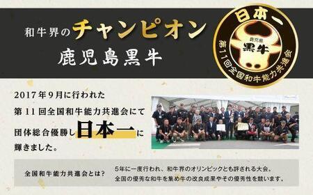 鹿児島県産黒毛和牛 霜降(ロース・カルビ)赤身(モモ)焼き肉用