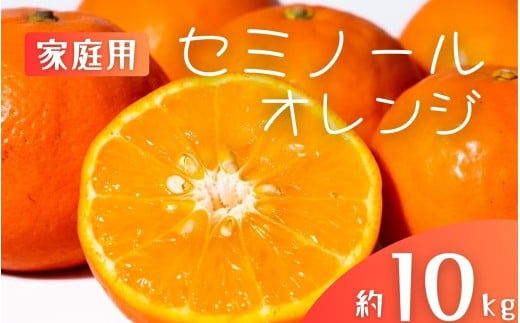 【先行予約】【ご家庭用】手選別 セミノールオレンジ 約10kg 和歌山県産 2S~2Lサイズ混合※2026年4月中旬～5月中旬頃に順次発送【mrmt037】