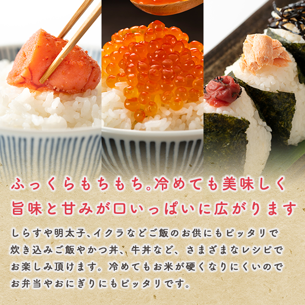 《新米先行予約》白米 あきたこまち 3kg 米 一等米 返礼品 こめ コメ 3キロ ふっくら 甘い 人気 おすすめ グルメ 故郷 ふるさと 納税 秋田 潟上市 一人暮らし