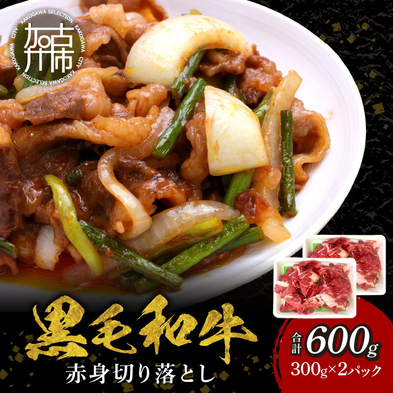 【ふるさと納税】【肉のまち かこがわ】黒毛和牛 赤身切り落とし スライス300g×2 《 黒毛和牛 和牛 牛肉 赤身 お肉 切り落とし スライス 牛肉 肉 国産牛 》