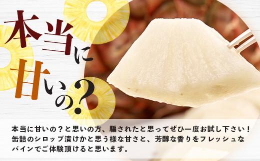 ＜期間限定 春フェア＞《2026年5月以降順次発送》[先行予約] お試し用 幻のパイナップル ホワイトココ 1玉  [マツコの知らない世界で絶賛] | 沖縄 石垣島 石垣 八重山 パイン パイナップル