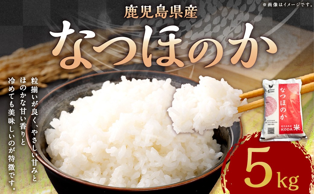 
            AS-481 【新米先行予約】【KODAMAFARMS】鹿児島県産 なつほのか 5kg KODA米 【2025年9月中旬以降順次発送】 精米 米 お米
          