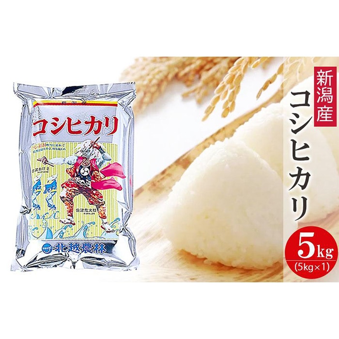 新潟産コシヒカリ5kg 新米 令和6年産 精米 白米