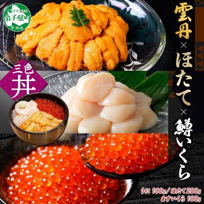 ふるさと納税 弟子屈町 ウニ 100g 鱒いくら醤油漬け 100g ホタテ貝柱 200g 海鮮丼 北海道 弟子屈 3628
