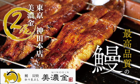 1036 美濃金　神田本店　炭焼　国産うなぎ蒲焼２