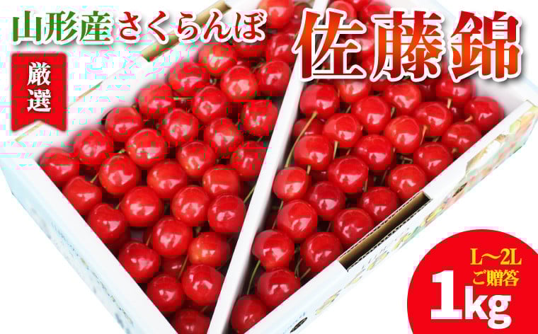 
            【厳選 ご贈答 バラ詰め】本場 山形産 さくらんぼ 佐藤錦 1kg(L～2Lサイズ) FY25-097
          