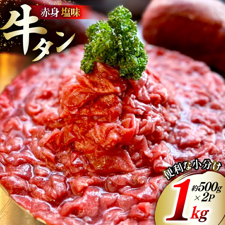 【ふるさと納税】訳あり 赤身 牛たん 塩味 たん先 約500g 2p 1kg [佐利 宮城県 南三陸町 m304amh580023] 牛タン たん タン 小分け 肉 焼き肉 焼肉 塩タン 塩たん タン塩 たん塩
