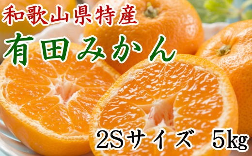 [秀品]和歌山有田みかん約5kg(2Sサイズ) ★2025年11月中旬頃より順次発送 BZ035