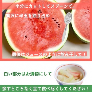 すいか 1玉 かたもとオーガニックファーム すいか