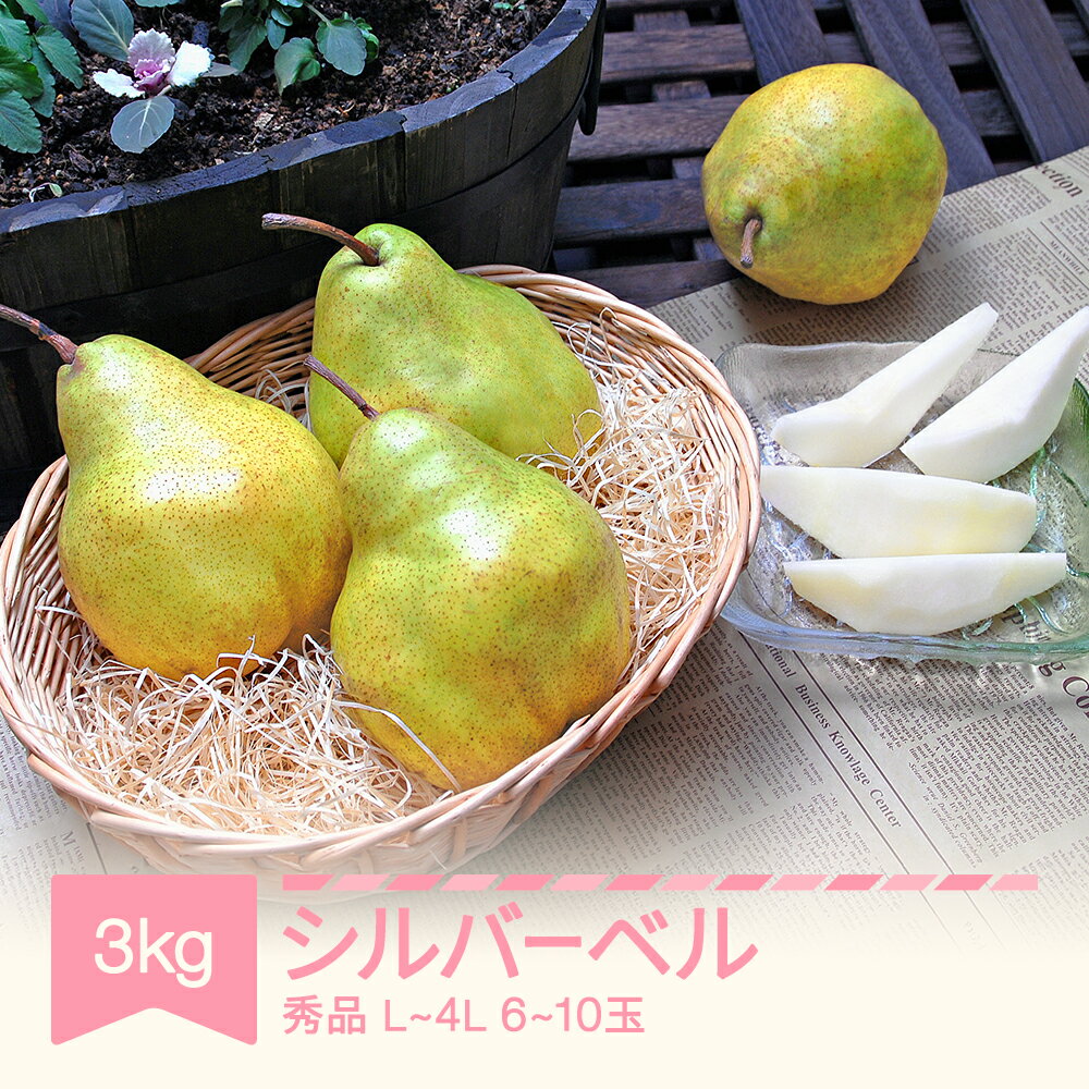 【ふるさと納税】先行予約 シルバーベル L-4L 秀品 3kg 洋梨 令和7年産 2025年産 果物 送料無料 ※沖縄・離島への配送不可 mm-sbsxx3