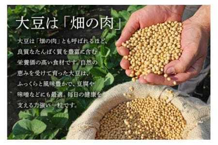 大豆 30kg 極小粒 岡田ファーム だいず ダイズ 国産 小粒 大容量 料理 煮豆 豆乳 納豆 用途多彩 健康食品 高たんぱく 保存食 産地直送 送料無料 (B02-026)
