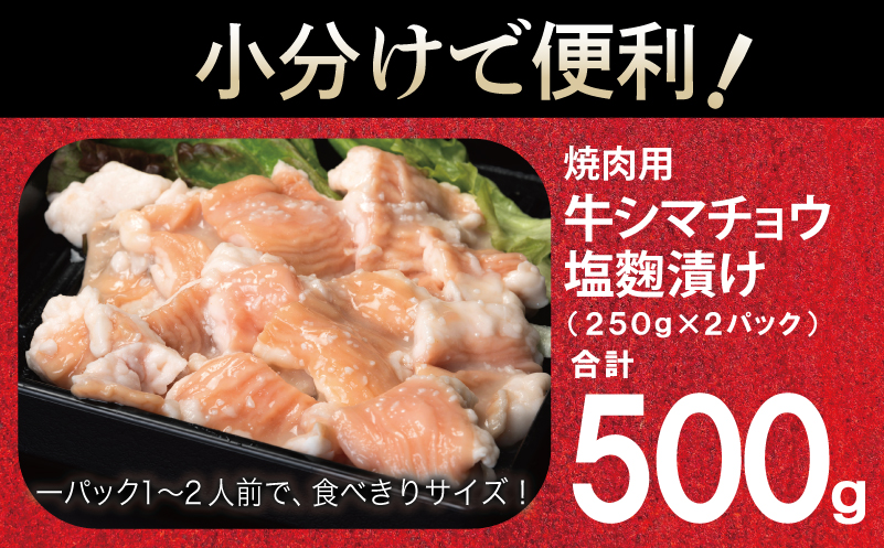 牛シマチョウ 焼肉用 塩麹漬け 500g【味付け 小分け 250g×2P 焼くだけ 簡単調理 BBQ 牛肉 ホルモン お試し】 G3450