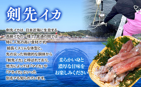 愛知県産　剣先イカ(アカイカ)3袋 [配送不可地域：離島]