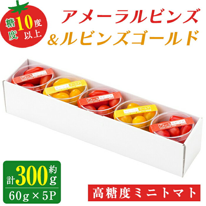 【ふるさと納税】＜ 先行予約 ＞ アメーラルビンズ ＆ ルビンズゴールド 5パック入り 合計約300g | 1パック 約60g【2025年12月より順次発送】 2種 食べ比べ セット 糖度10度以上 高糖度 ミニトマト トマト とまと 詰め合わせ 野菜 食品 名産 特産品 お取り寄せ 静岡県 小山町