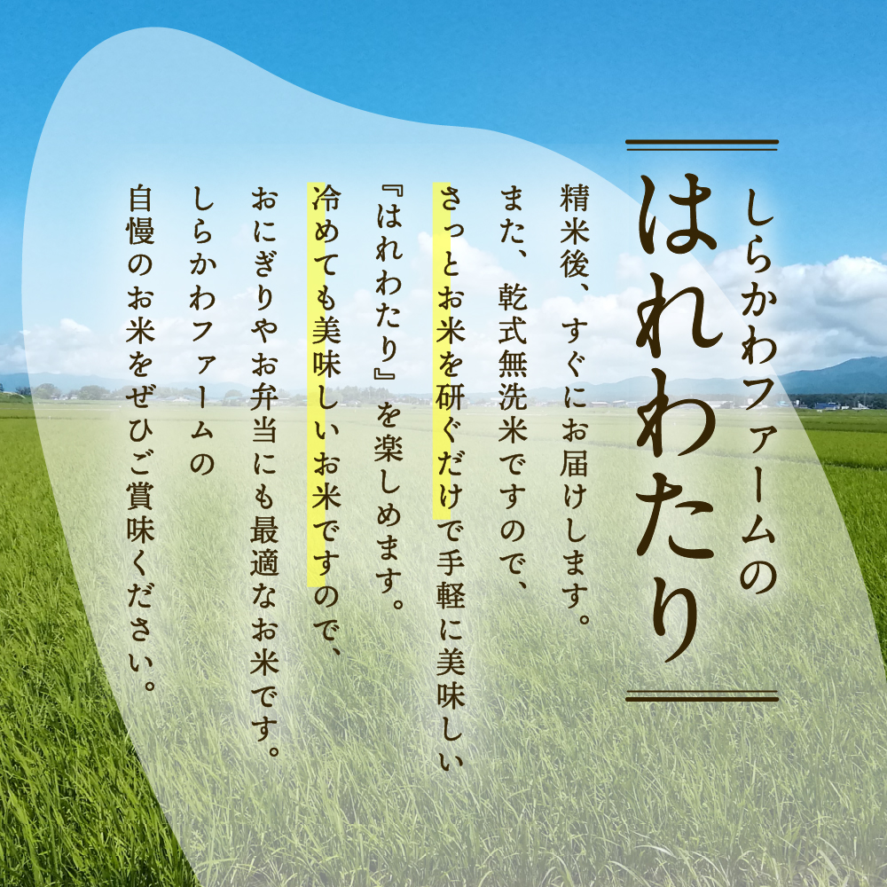 【1月発送】令和7年産 米 10kg 無洗米 特A はれわたり 乾式無洗米 青森県産米（精米） ハレワタリ お米 こめ 10キロ ごはん 五所川原
