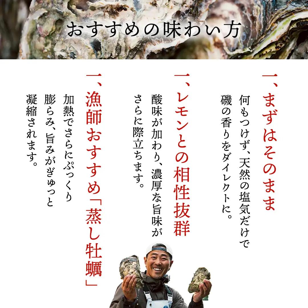 天然・生食可 大・特大サイズ 岩牡蠣 5個 瀬戸内産  《ナイフ・軍手付き》 産地直送