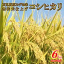 【ふるさと納税】令和6年産 石見高原みずほ米コシヒカリ 無洗米仕上6kg（3kg×2袋）