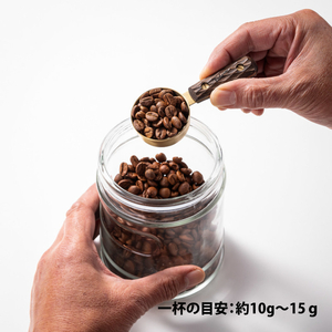 【FEDECA】コーヒーメジャースプーン リップルブラック 001170
