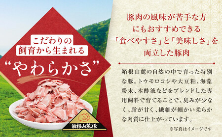 箱根山麓豚　モモ・ウデ切り落とし４K盛り(500ｇ×８パック)【 箱根山麓豚 切り落とし 神奈川県 小田原市 】