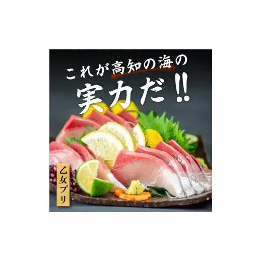 【早期受付】乙女 ブリ 約 900g フィーレ 鰤 刺し身 さしみ 刺身 KS0311-3x-1
