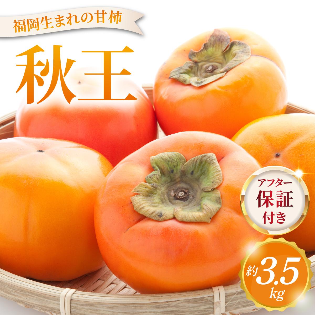 【ふるさと納税】福岡より直送！種がほとんどない新ブランド柿 秋王 約3.5kg（2026年10月以降発送）|甘柿 太秋柿 富有柿 フルーツ くだもの 果物 送料無料 福岡県 那珂川市