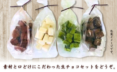 訳あり 濃厚 生チョコレート 4種 各味100g 400g 生チョコレート ちょこちょこ