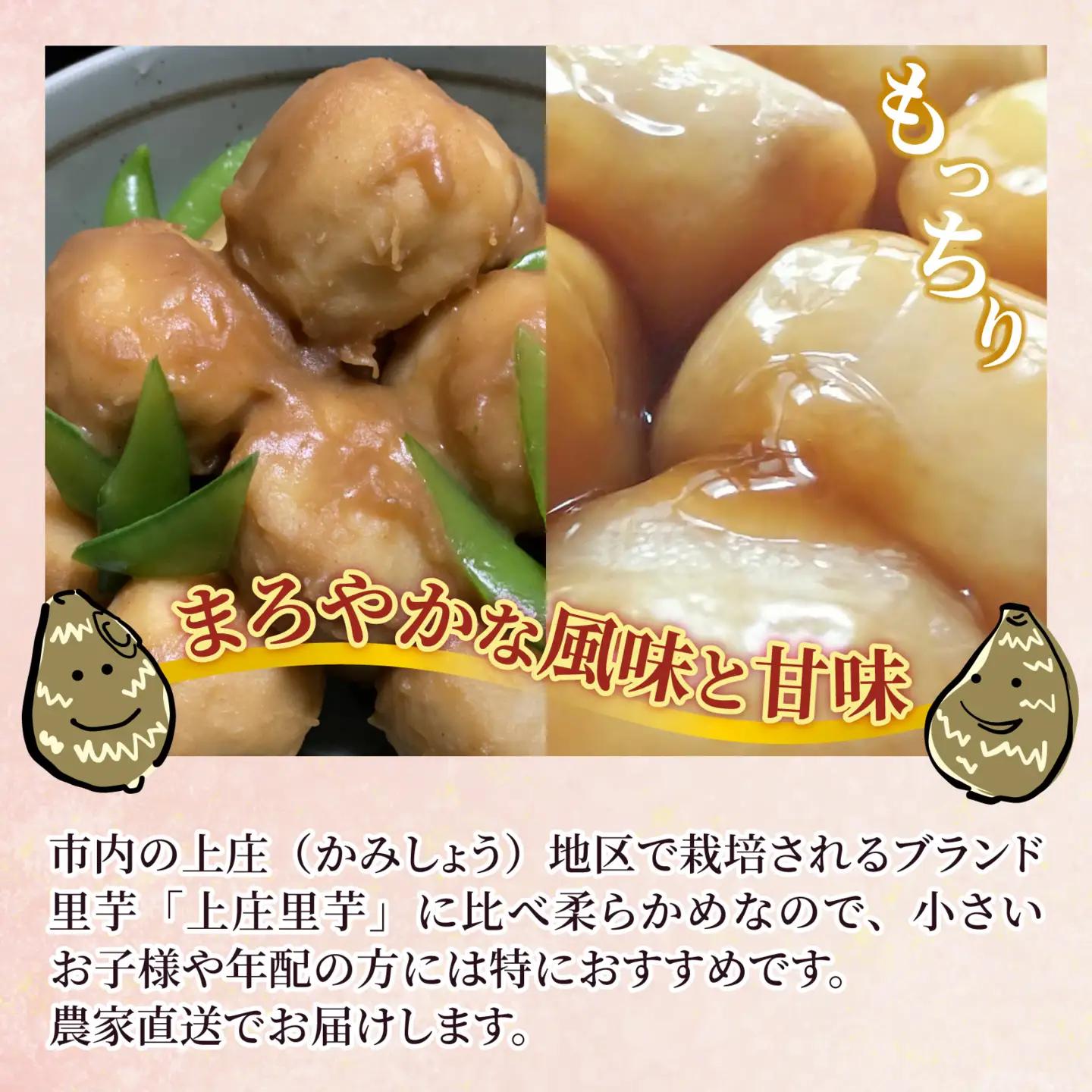 越前大野産 里芋【1月から順次発送】4.5kg 土付里芋 特別栽培  [A-008002]