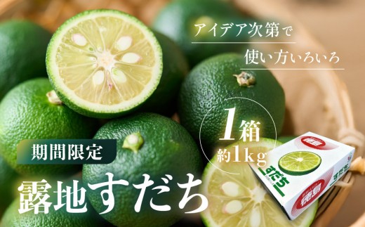 
                  露地すだち 1箱（約1kg） 先行予約
                